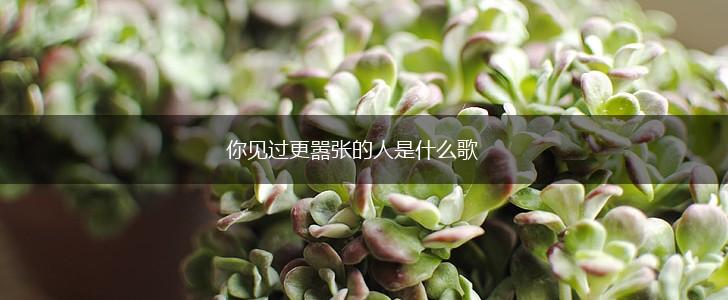 你见过更嚣张的人是什么歌,第1张