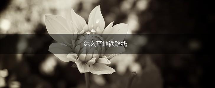 怎么查地铁路线,第1张