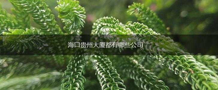 海口贵州大厦都有哪些公司,第1张