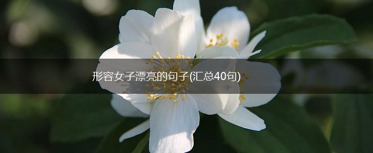形容女子漂亮的句子(汇总40句),第1张