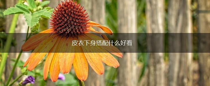 皮衣下身搭配什么好看,第1张