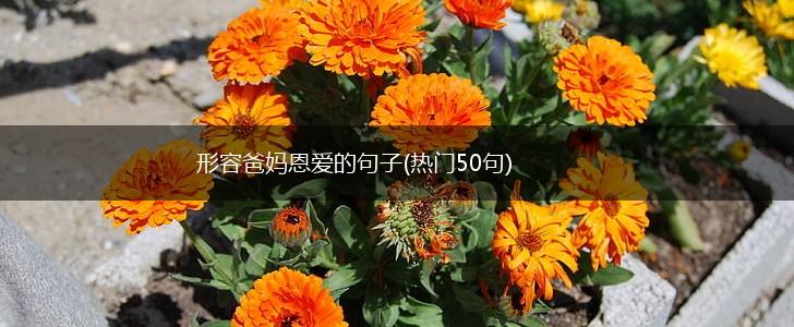 形容爸妈恩爱的句子(热门50句),第1张