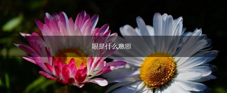 哏是什么意思,第1张