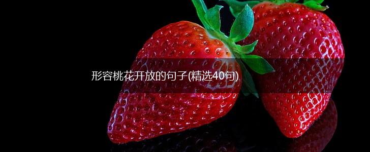 形容桃花开放的句子(精选40句),第1张