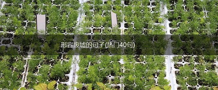 形容废墟的句子(热门40句),第1张
