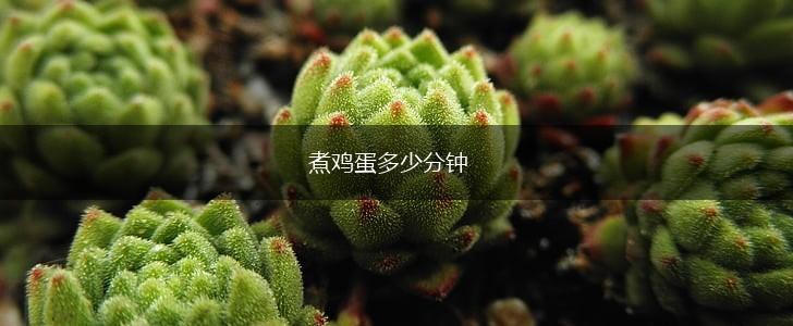 煮鸡蛋多少分钟,第1张