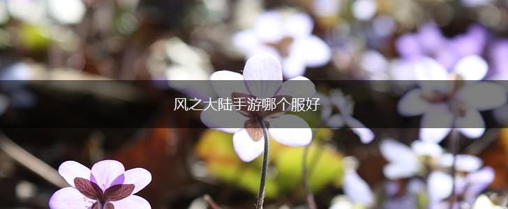 风之大陆手游哪个服好,第1张