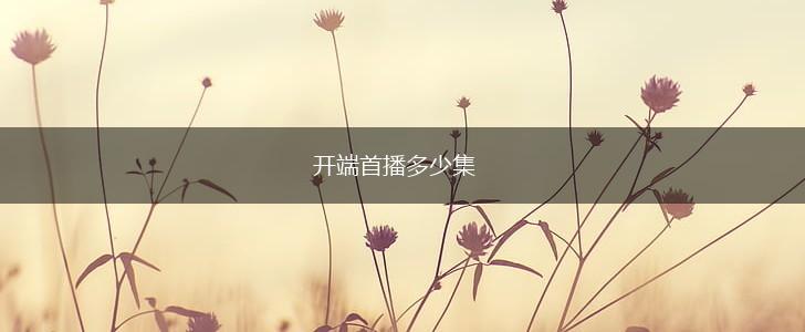 开端首播多少集,第1张