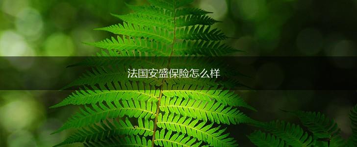 法国安盛保险怎么样,第1张