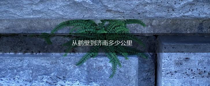 从鹤壁到济南多少公里,第1张