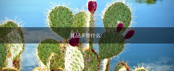 礼品卡是什么,第1张