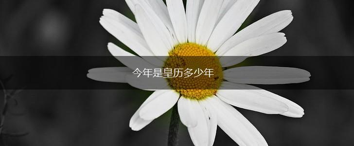 今年是皇历多少年,第1张