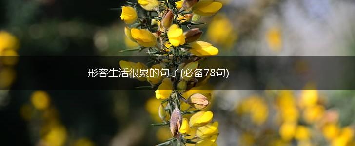 形容生活很累的句子(必备78句),第1张