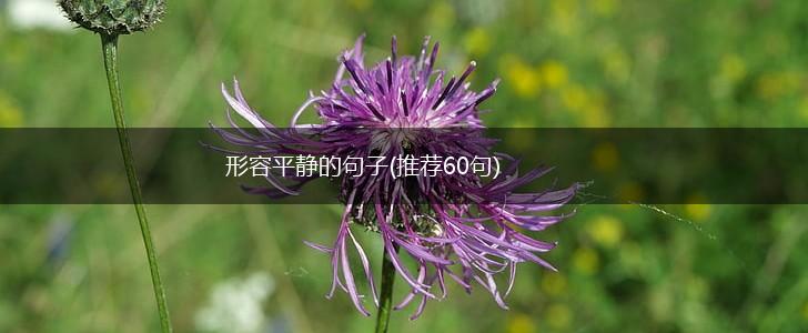 形容平静的句子(推荐60句),第1张