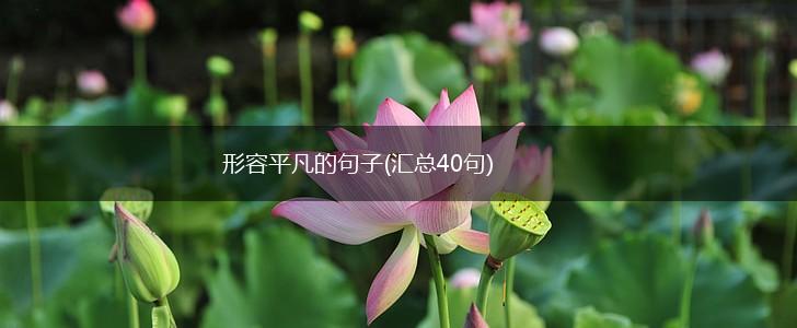 形容平凡的句子(汇总40句),第1张