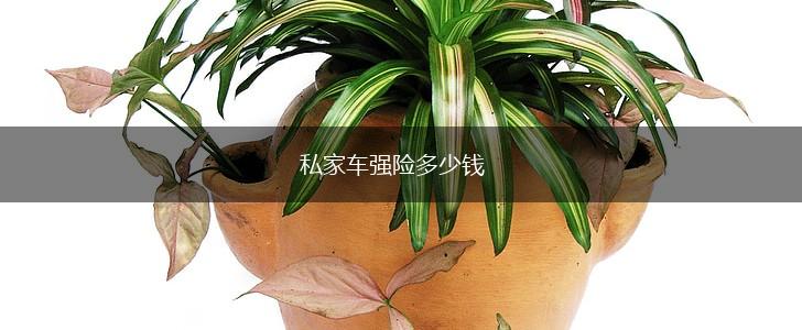 私家车强险多少钱,第1张