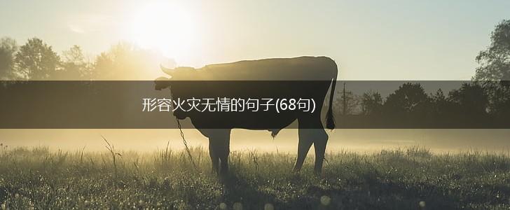 形容火灾无情的句子(68句),第1张