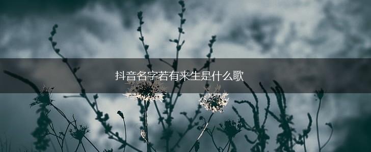 抖音名字若有来生是什么歌,第1张