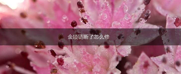 金项链断了怎么修,第1张
