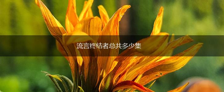 流言终结者总共多少集,第1张