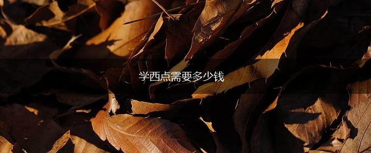 学西点需要多少钱,第1张