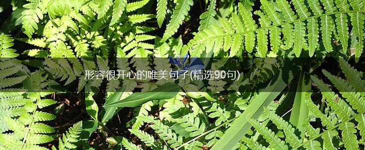形容很开心的唯美句子(精选90句),第1张