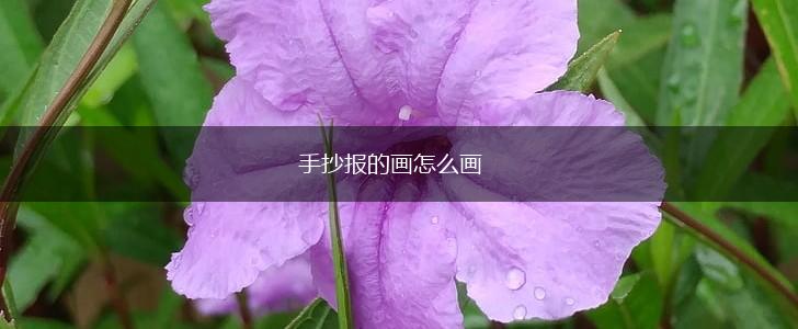 手抄报的画怎么画,第1张