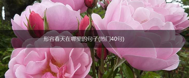 形容春天在哪里的句子(热门40句),第1张