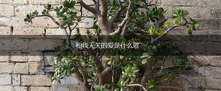 和我无关的爱是什么歌,第1张