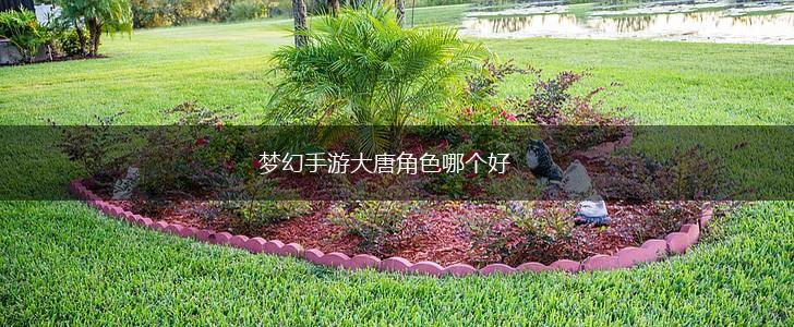 梦幻手游大唐角色哪个好,第1张