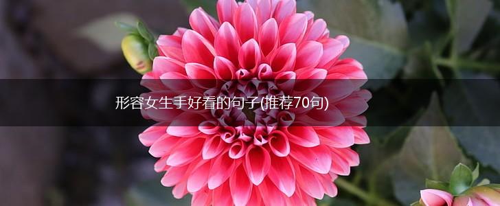 形容女生手好看的句子(推荐70句),第1张