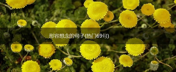 形容想念的句子(热门69句),第1张