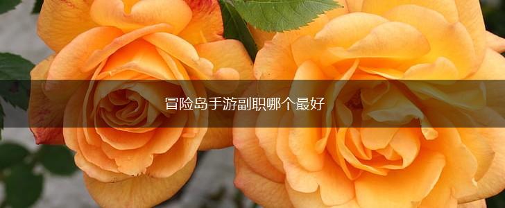 冒险岛手游副职哪个最好,第1张