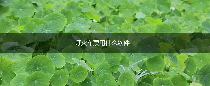 订火车票用什么软件,第1张