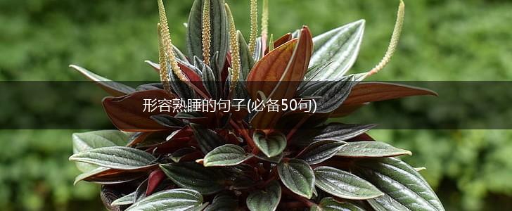 形容熟睡的句子(必备50句),第1张