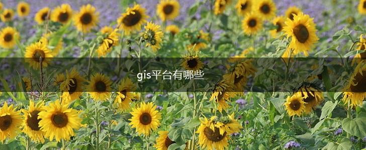 gis平台有哪些,第1张
