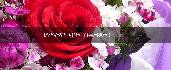 形容恍然大悟的句子(实用80句),第1张