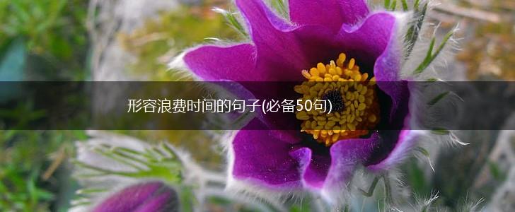 形容浪费时间的句子(必备50句),第1张