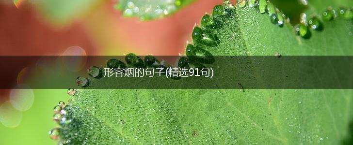 形容烟的句子(精选91句),第1张