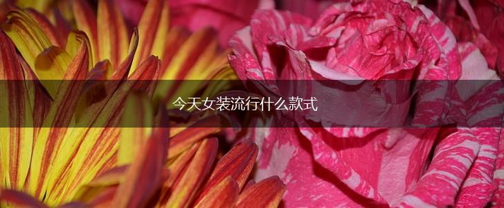 今天女装流行什么款式,第1张