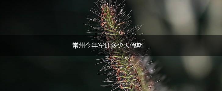 常州今年军训多少天假期,第1张