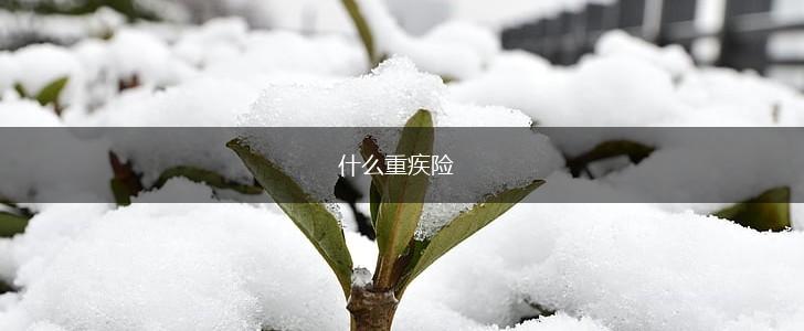 什么重疾险,第1张