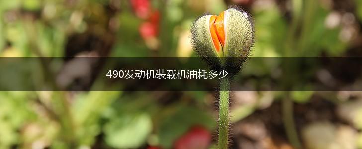 490发动机装载机油耗多少,第1张