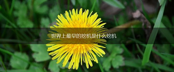 世界上最早的挖机是什么挖机,第1张