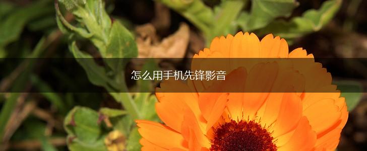 怎么用手机先锋影音,第1张