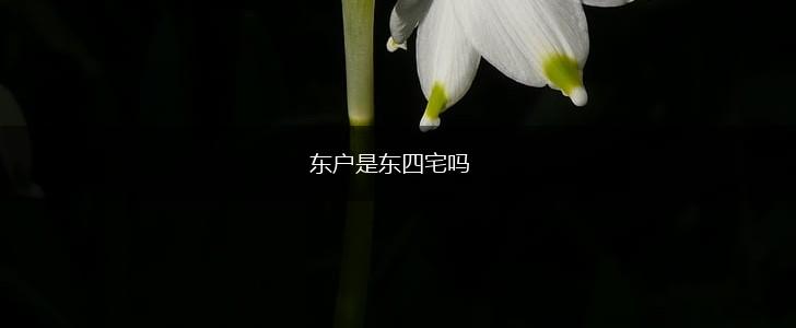 东户是东四宅吗,第1张
