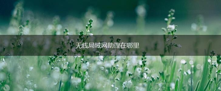 无线局域网助理在哪里,第1张