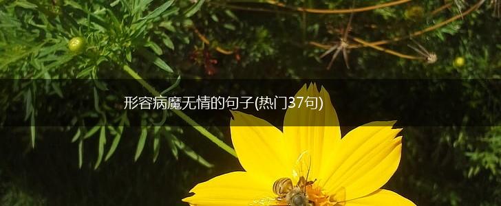 形容病魔无情的句子(热门37句),第1张