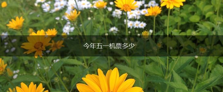 今年五一机票多少,第1张