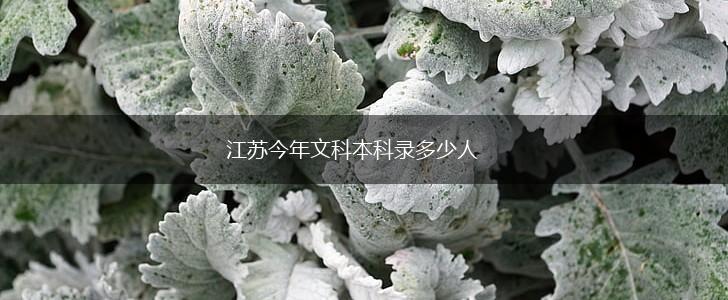 江苏今年文科本科录多少人,第1张